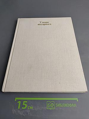 У моря янтарного