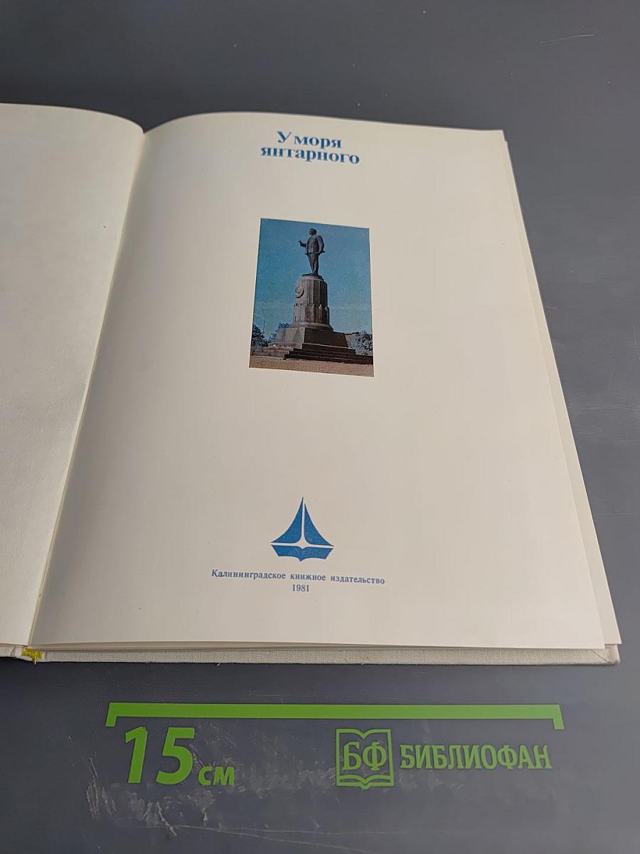 У моря янтарного