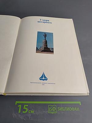 У моря янтарного