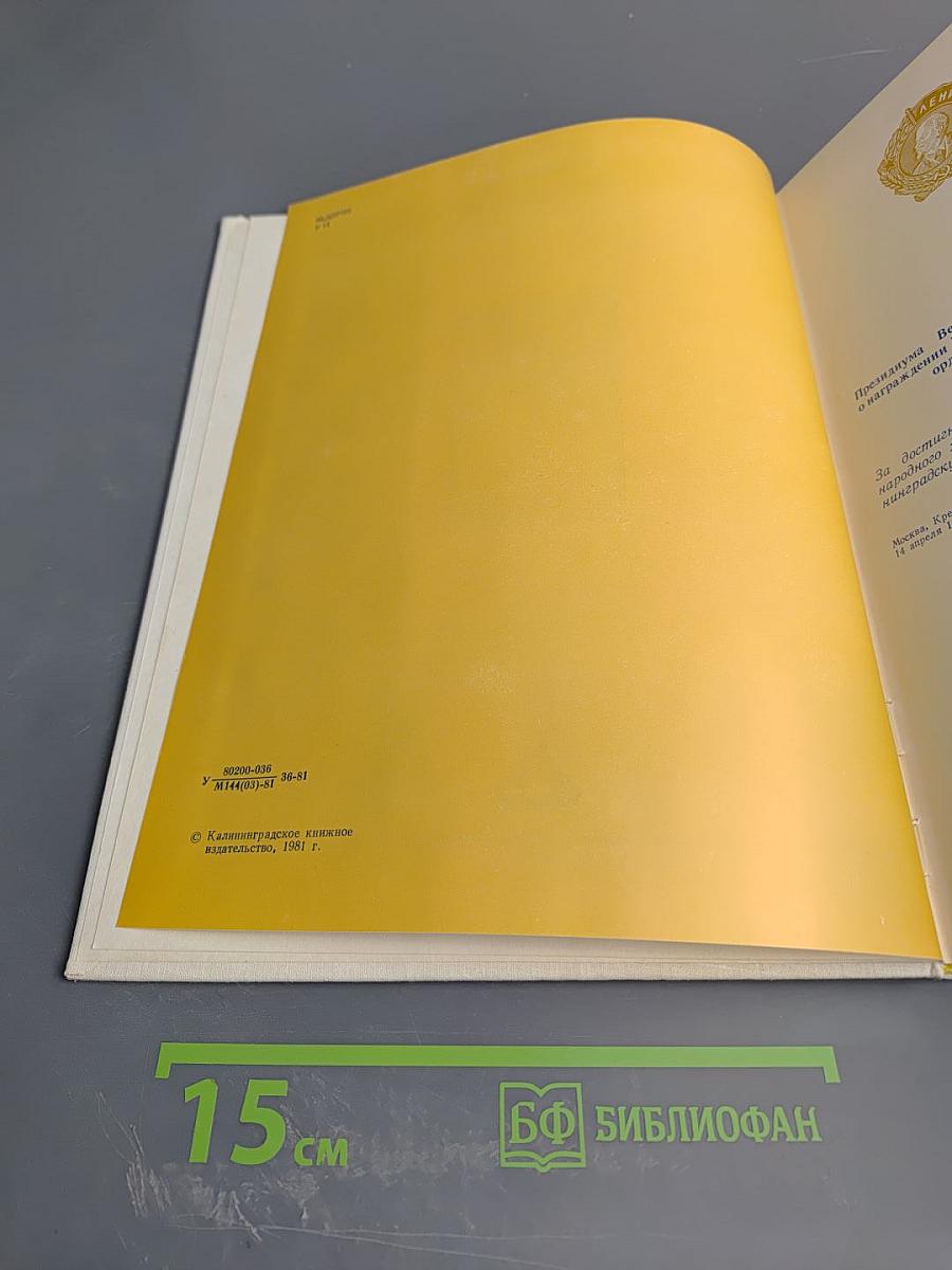 У моря янтарного