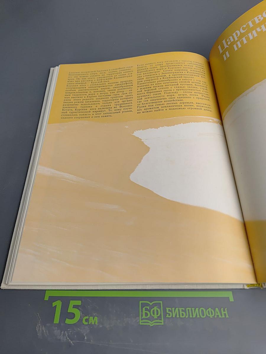 У моря янтарного