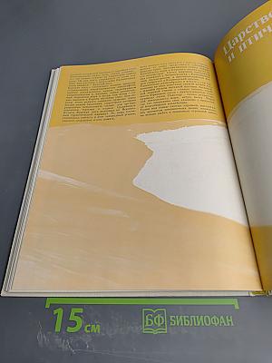 У моря янтарного