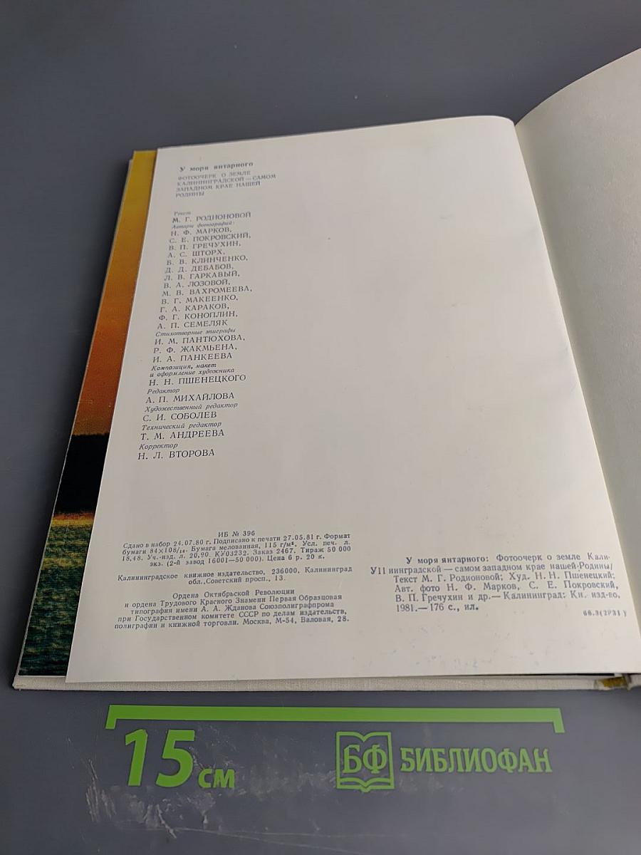 У моря янтарного