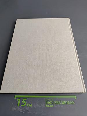 У моря янтарного