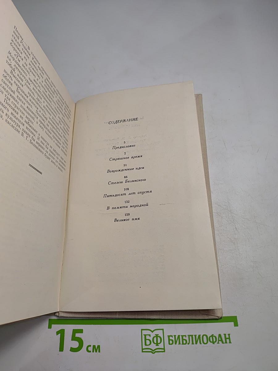 Наш Белинский