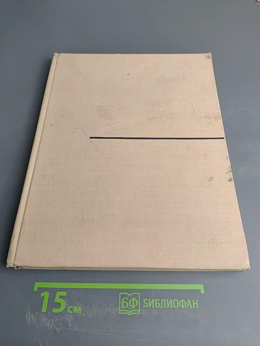 Дорогой поиска