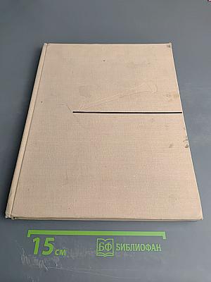 Дорогой поиска