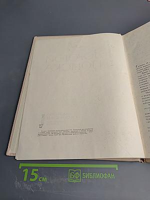 Дорогой поиска