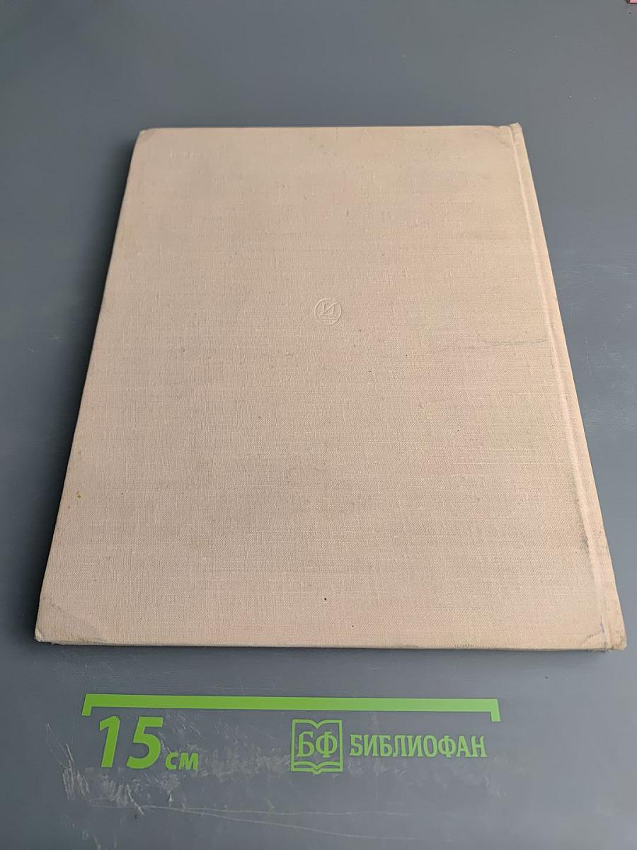 Дорогой поиска