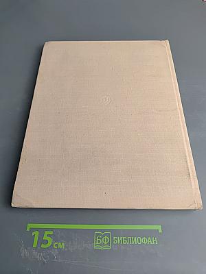 Дорогой поиска