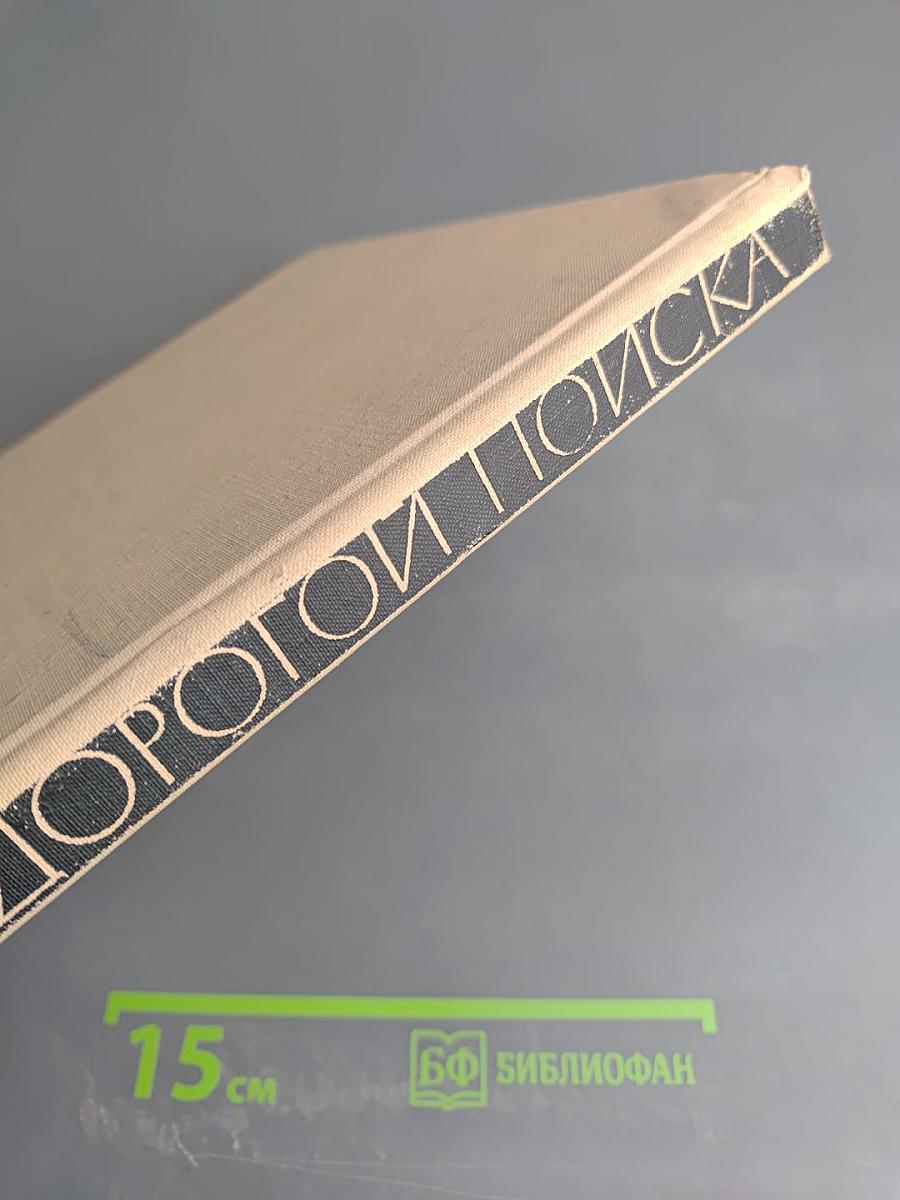 Дорогой поиска