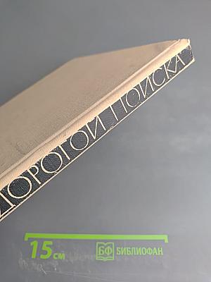 Дорогой поиска