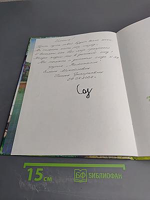 Приключения Тома Сойера