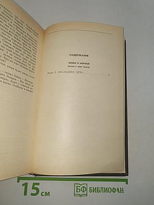 Живые и мертвые. Книга третья. Последнее лето