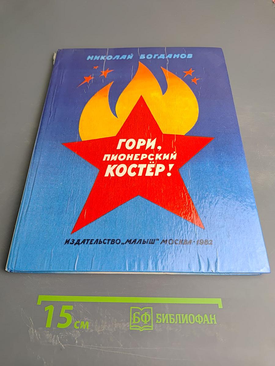 Гори, пионерский костёр!