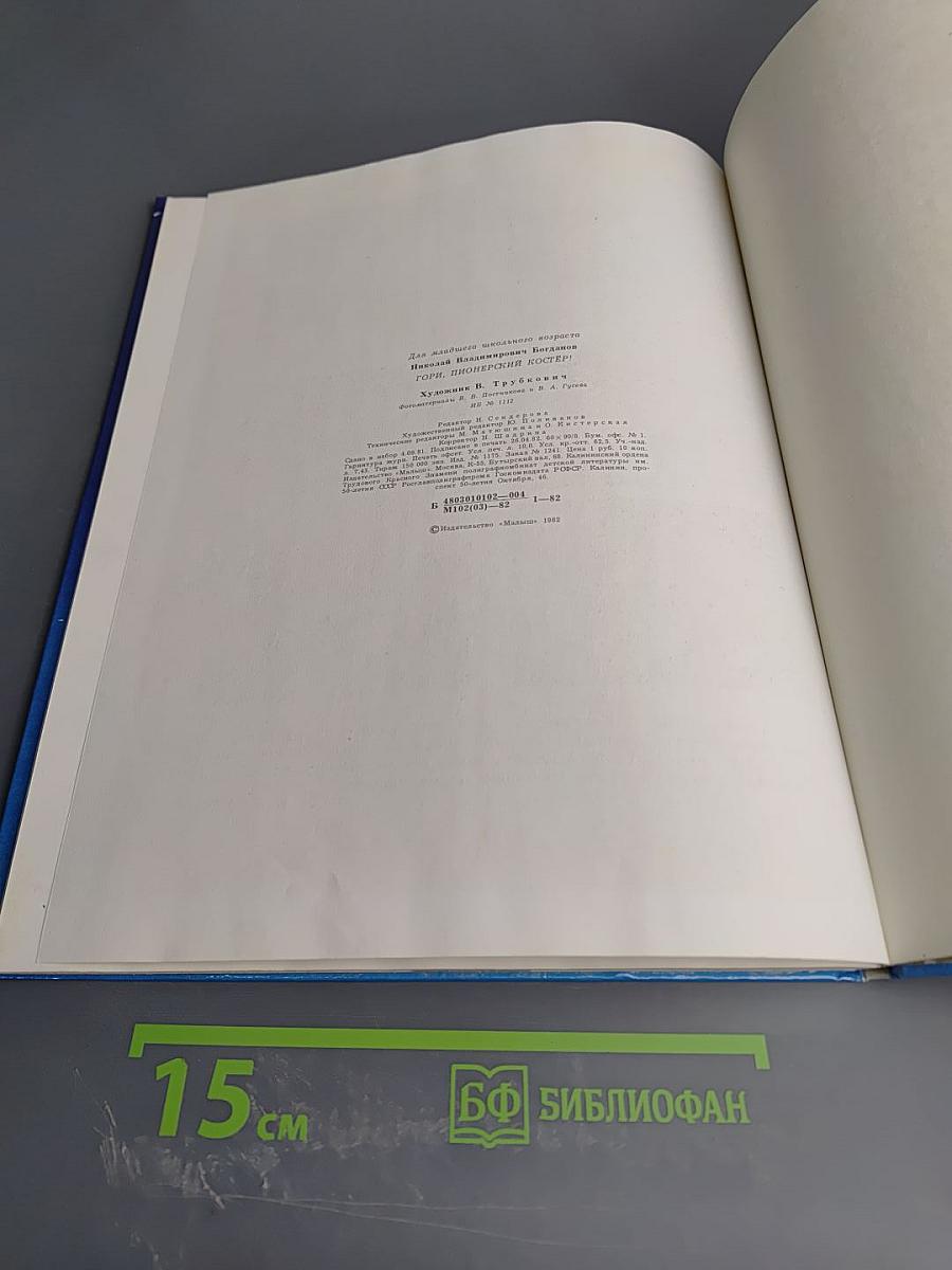 Гори, пионерский костёр!