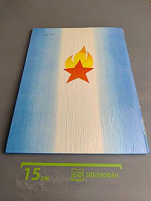 Гори, пионерский костёр!