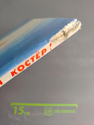 Гори, пионерский костёр!