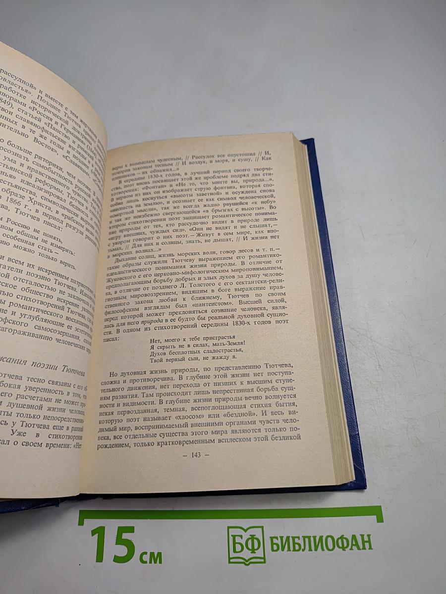 История русской литературы XIX века (1840-1860-е годы)