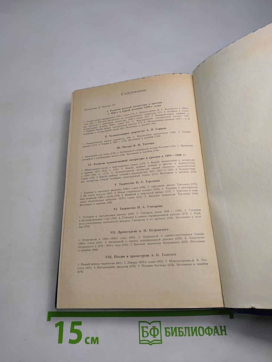 История русской литературы XIX века (1840-1860-е годы)