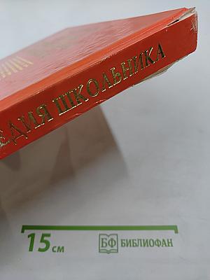 Большая энциклопедия школьника