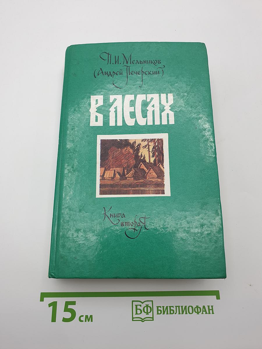 В лесах. Книга вторая