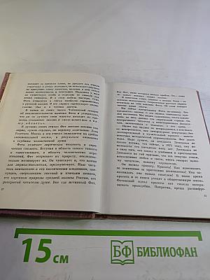 Сад весь в цвету. Лирика