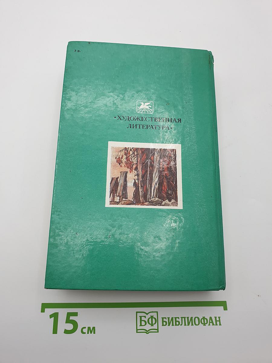 В лесах. Книга вторая