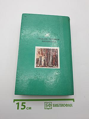 В лесах. Книга вторая