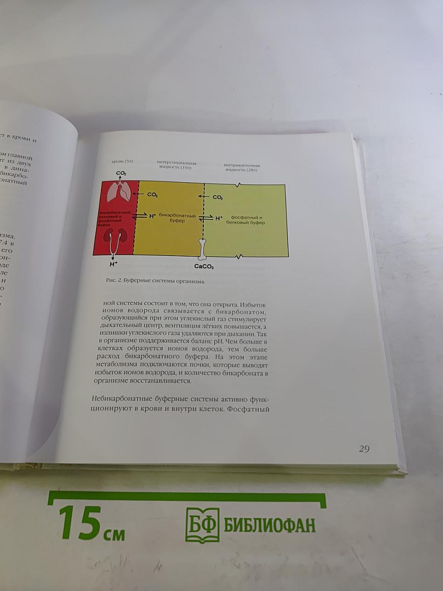 Ацетатный и бикарбонатный диализ