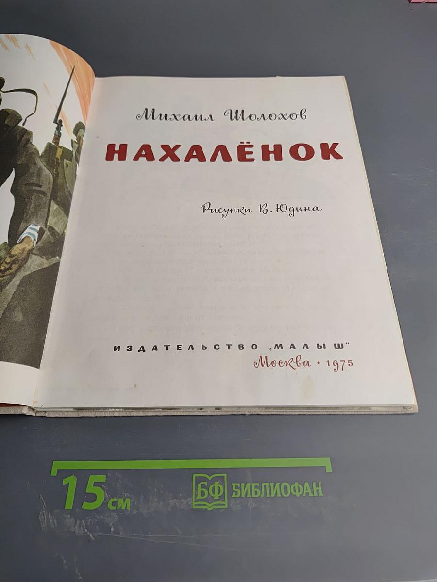 Нахалёнок