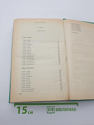 В лесах. Книга вторая