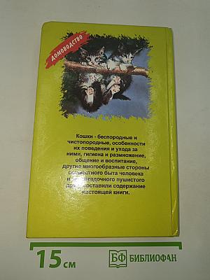 Ваша кошка