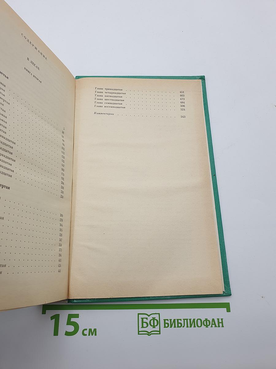 В лесах. Книга вторая