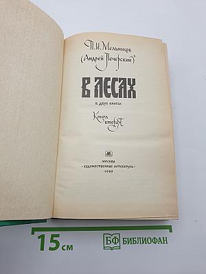 В лесах. Книга вторая