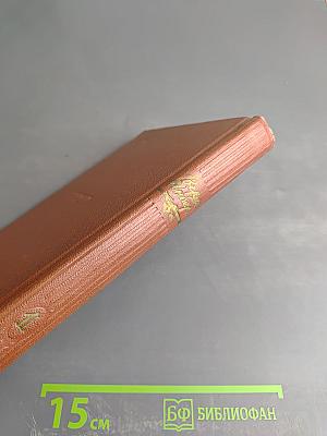 Избранные произведения. Том первый. Стихотворения. Поэмы.