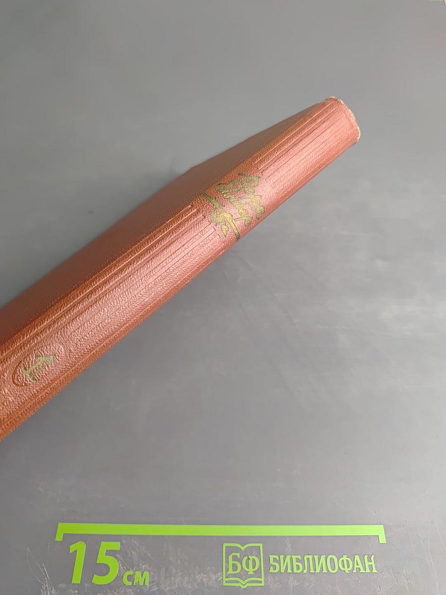 Избранные произведения. Том первый: Стихотворения. Поэмы