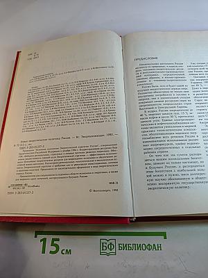 Новая энергетическая политика России