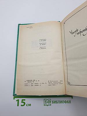 В лесах. Книга вторая