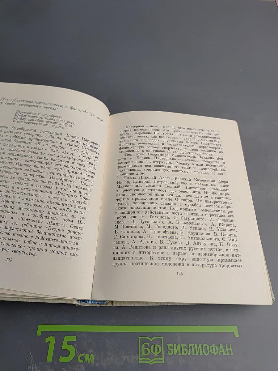 Собрание сочинений. Том четвертый. Статьи о литературе
