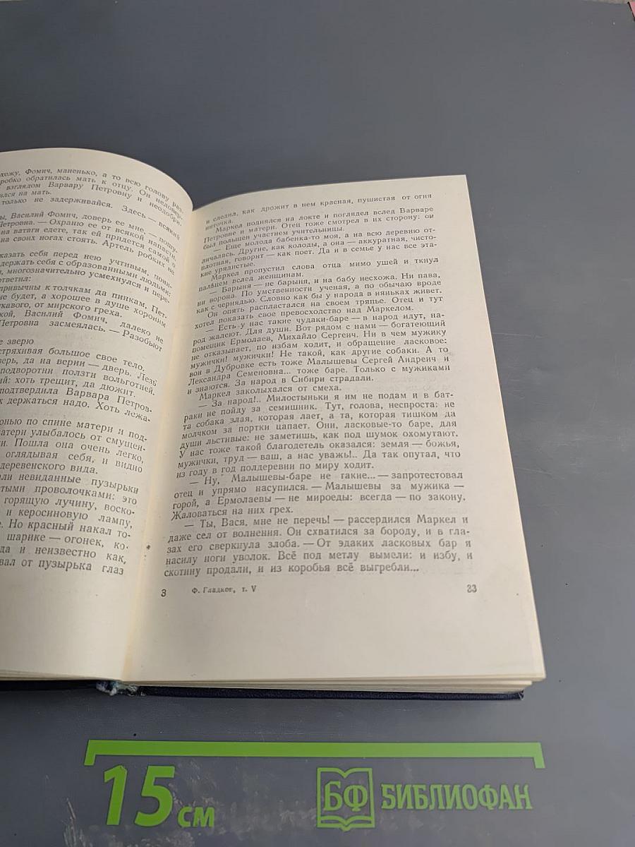 Собрание сочинений в пяти томах. Том пятый. Вольница