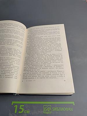 Собрание сочинений в пяти томах. Том пятый. Вольница