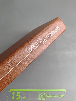 Собрание сочинений в четырех томах. Том 2. Кража. Рассказы