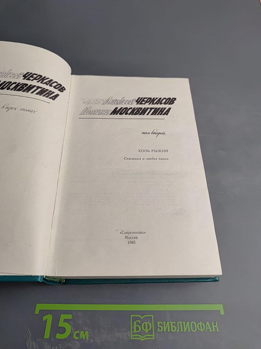 Конь Рыжий. Том второй