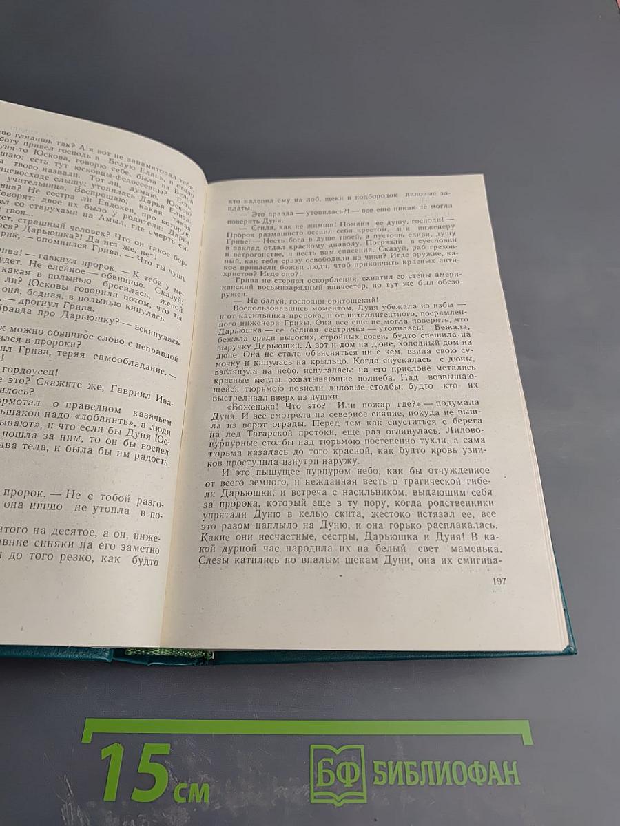 Конь Рыжий. Том второй