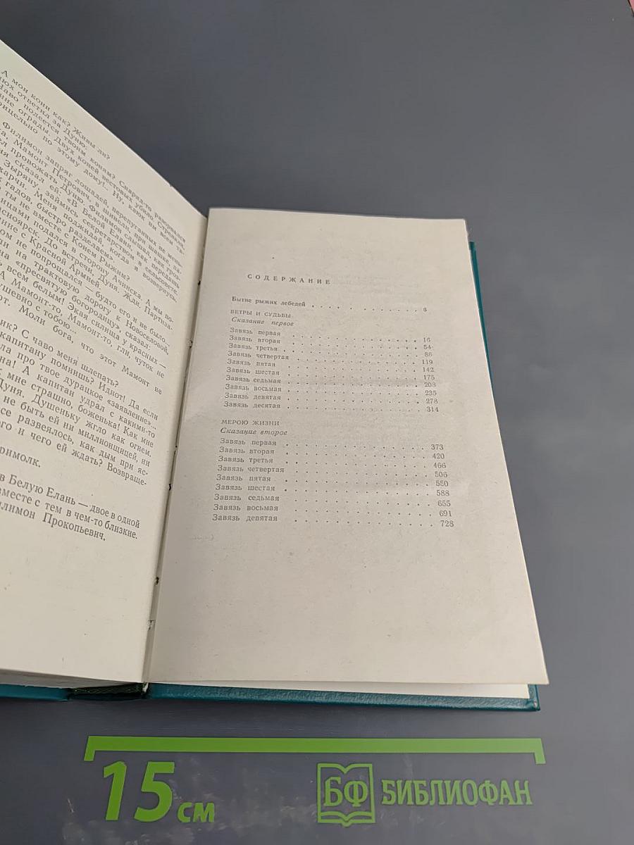 Конь Рыжий. Том второй