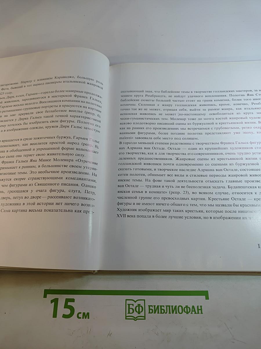 Голландская жанровая живопись