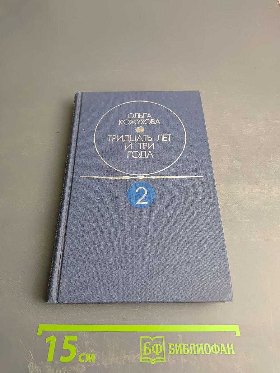 Тридцать лет и три года. Том 2