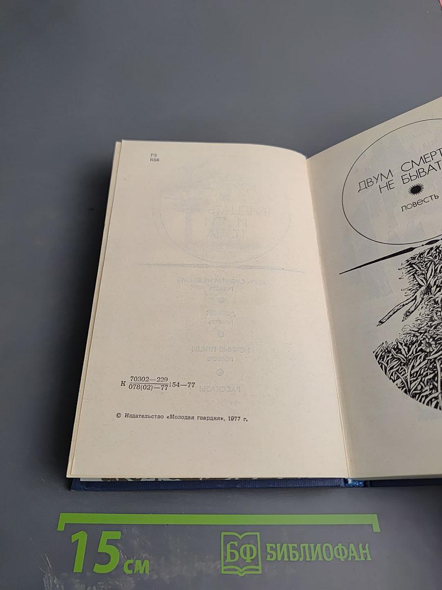 Тридцать лет и три года. Том 2