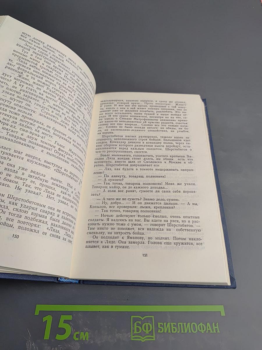 Тридцать лет и три года. Том 2